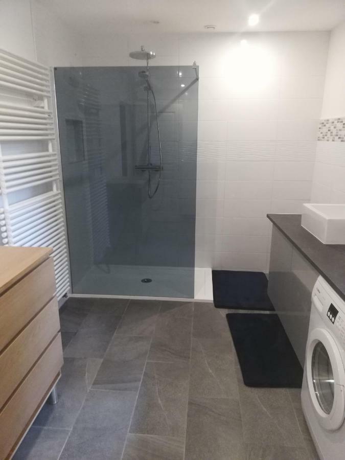 - Gite Appart Orchidée - Coeur de ville - Lunéville - Soirée étape VRP - capacité 1 à 4 personnes - Accès piscine et jardin Esterno foto